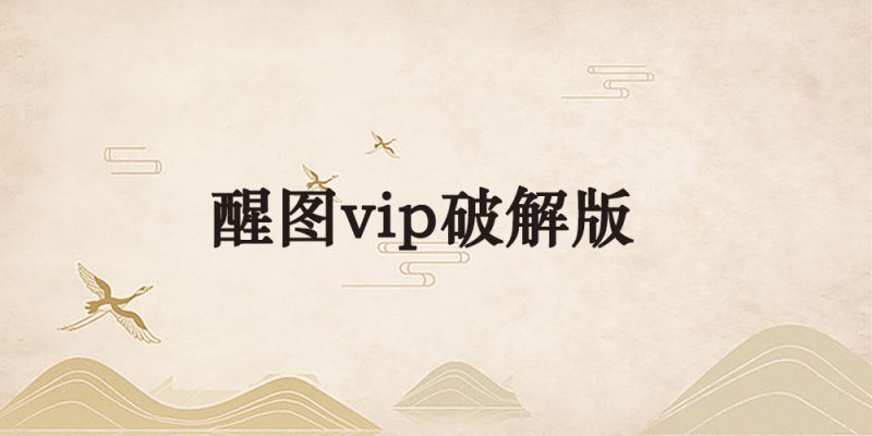 醒图vip破解版-逐风项目库