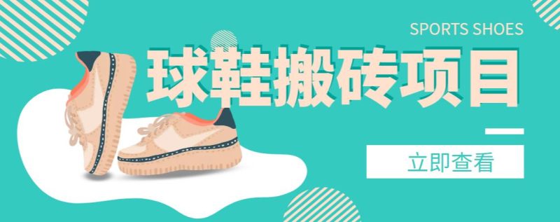 【搬砖必备】外面收费998的球鞋搬砖项目，月入轻松5000+的项目案例解析-逐风项目库
