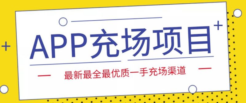 外面收费9800的APP充场项目,实操一天收入800+个人和工作室都可以做-逐风项目库