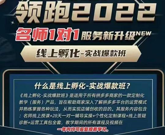 牛气学堂老陶电商【第9期】，拼多多名师线上领跑28天，线上孵化-实战爆款班