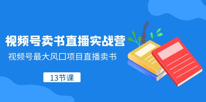 图片[1]-（8080期）视频号-卖书直播实战营，视频号最大风囗项目直播卖书（13节课）