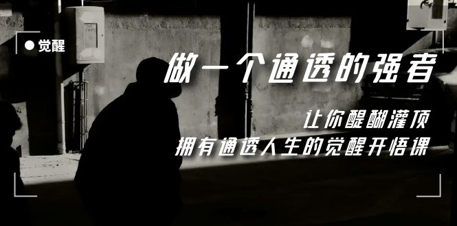 （7696期）觉醒-做一个通透强者，让你醍醐灌顶，拥有通透人生，掌握强大的秘密-逐风项目库