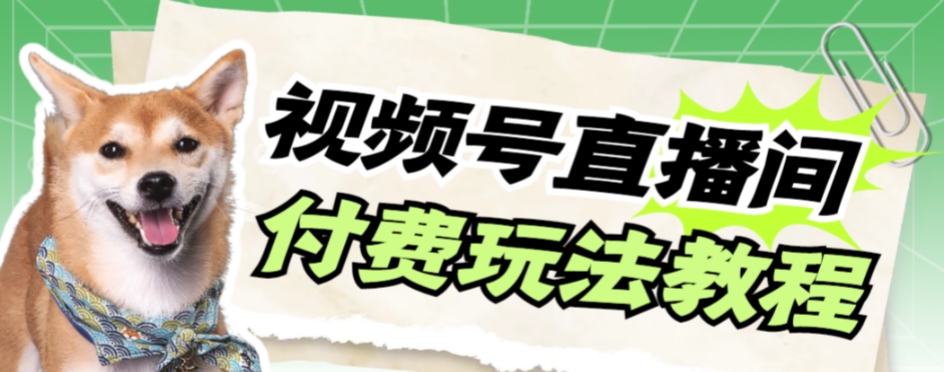 图片[1]-（7660期）视频号美女付费无人直播，轻松日入500+【详细玩法教程】