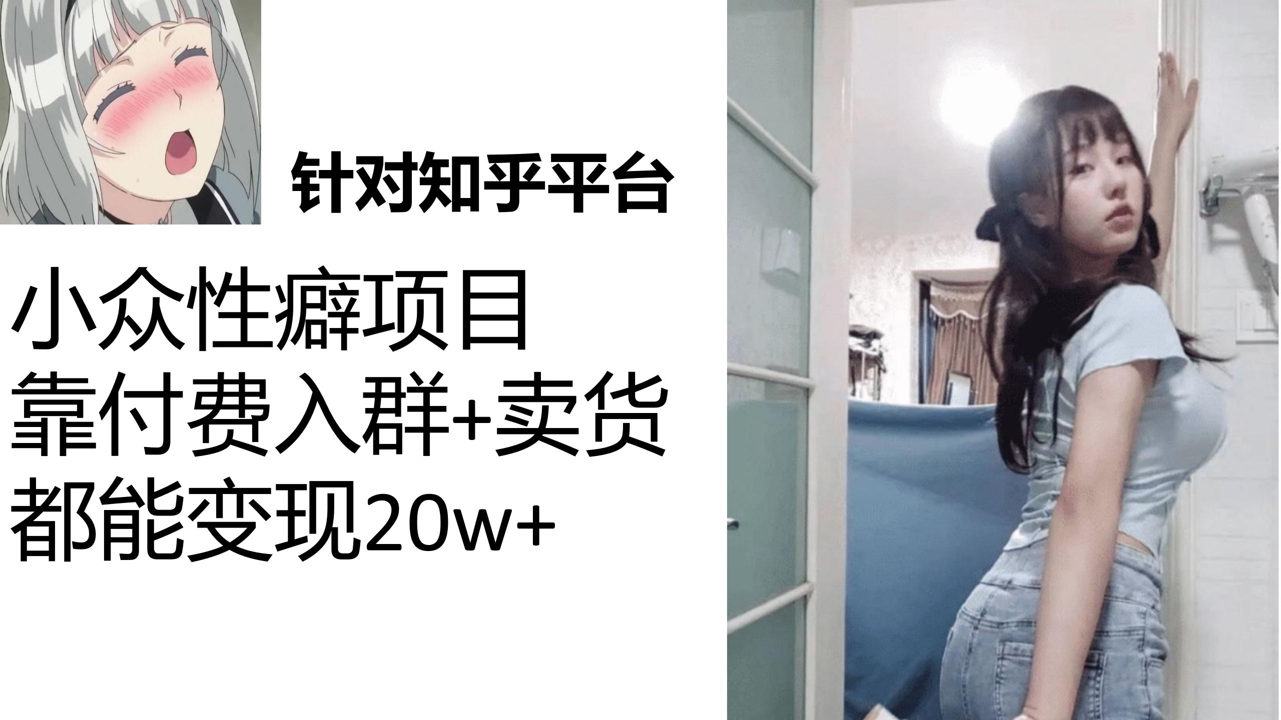 图片[1]-（7291期）知乎小众性癖项目，Lsp的钱才是最好赚的，付费建群+卖货变现20w