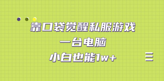 图片[1]-（7113期）靠口袋觉醒私服游戏，一台电脑，小白也能1w+（教程+工具+资料）