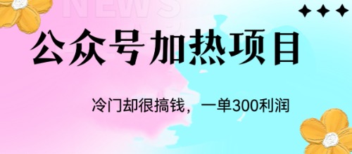 （6916期）冷门公众号加热项目，一单利润300+