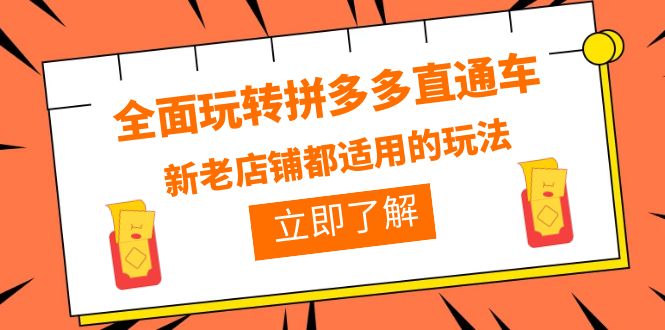 图片[1]-（6294期）全面玩转拼多多直通车，新老店铺都适用的玩法（12节精华课）