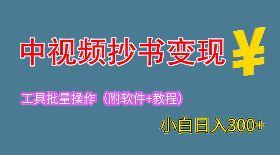 （6246期）2023中视频抄书变现（附工具+教程），一天300+，特别适合新手操作的副业