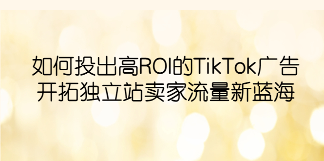 图片[1]-（6102期）如何投出高ROI·TikTok广告，开拓独立站卖家流量新蓝海