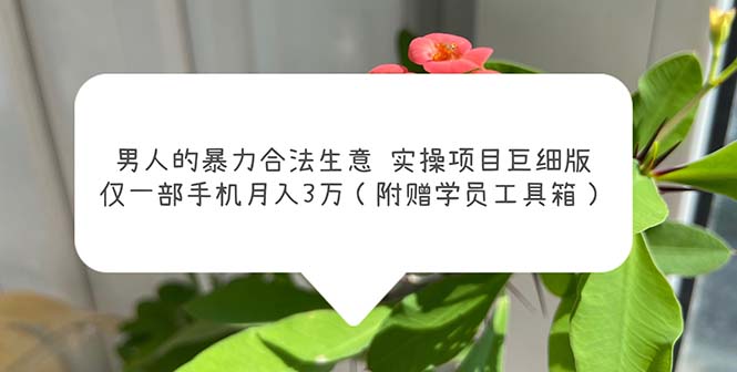 图片[1]-（5962期）男人的暴力合法生意实操项目巨细版：仅一部手机月入3w（附赠学员工具箱）