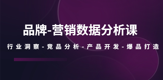 图片[1]-（5565期）品牌-营销数据分析课，行业洞察-竞品分析-产品开发-爆品打造