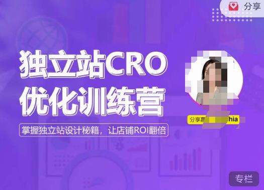 独立站CRO优化训练营，掌握独立站设计秘籍，打造高转化的独立站，让店铺ROI翻倍