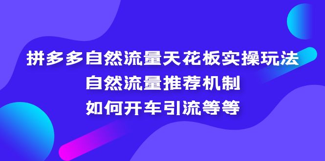 图片[1]-（5327期）拼多多自然流量天花板实操玩法：自然流量推荐机制，如何开车引流等等