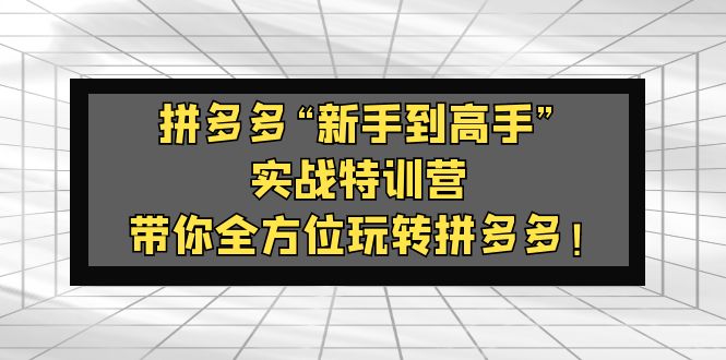 图片[1]-（5173期）拼多多“新手到高手”实战特训营：带你全方位玩转拼多多！