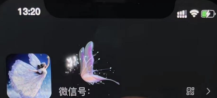 图片[3]-（4980期）微信动态昵称设置方法，可抖音直播引流，日赚上百【详细视频教程+素材】