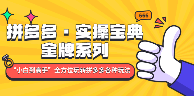 （4934期）拼多多·实操宝典：金牌系列“小白到高手”带你全方位玩转拼多多各种玩法