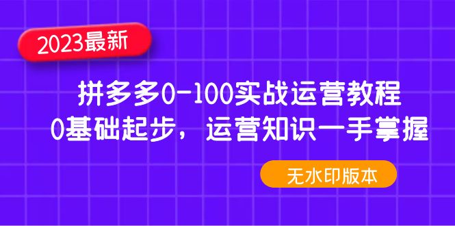 （4835期）2023拼多多0-100实战运营教程，0基础起步，运营知识一手掌握（无水印）-逐风项目库