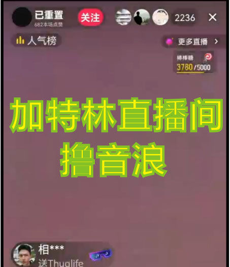 图片[2]-（4791期）2023抖音加特林直播间搭建技术，0粉开播-暴力撸音浪-日入800+【素材+教程】