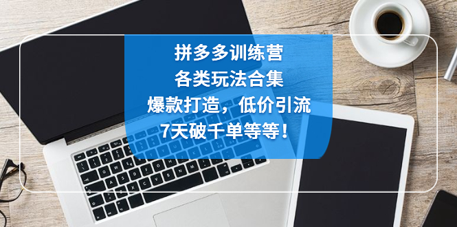 图片[1]-（4693期）拼多多训练营：各玩法合集，爆款打造，低价引流，7天破千单等等！