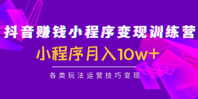 图片[1]-（4511期）抖音赚钱小程序变现训练营：小程序月入10w+各类玩法运营技巧变现