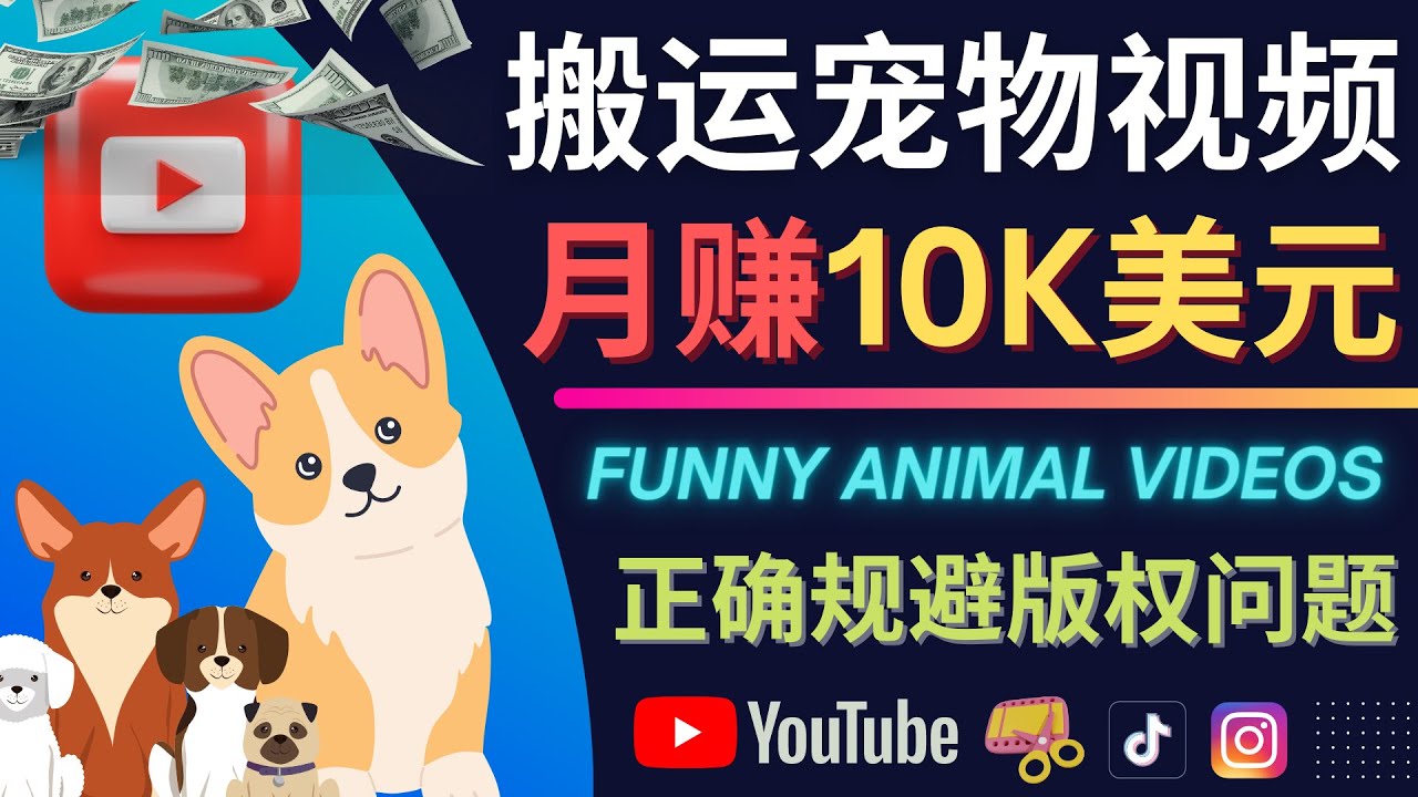 图片[1]-（4221期）搬运TIKTOK视频到YouTube，并进行二次创作，月赚1万美元以上