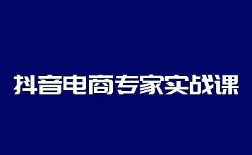 抖音电商专家实战课，你上你也行-人人能做的卖货达人