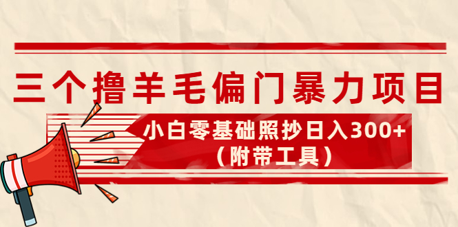 （4110期）外面卖998的三个撸羊毛偏门暴力项目，小白零基础照抄日入300+（附带工具）