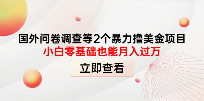 图片[1]-（4062期）国外问卷调查等2个暴力撸美金项目，小白零基础也能月入过万