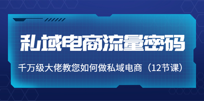 （3977期）私域电商流量密码：千万级大佬教您如何做私域电商（12节课）