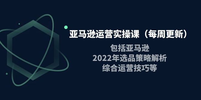 （3955期）亚马逊运营实操课（每周更新）包括亚马逊2022选品策略解析，综合运营技巧等