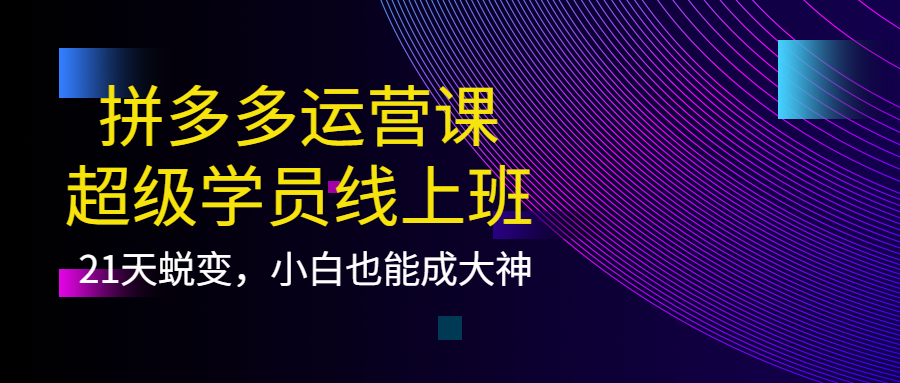 （3929期）拼多多运营课：超级学员线上班，21天蜕变，小白也能成大神