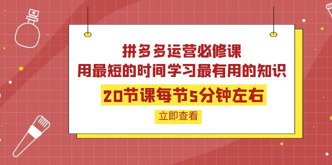 图片[1]-（3839期）拼多多运营必修课：20节课每节5分钟左右，用最短的时间学习最有用的知识