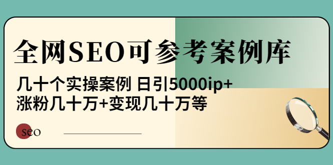 图片[1]-（3834期）《全网SEO可参考案例库》几十个实操案例 日引5000ip+涨粉百W+变现几十W等!