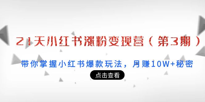 （3795期）21天小红书涨粉变现营（第3期）：带你掌握小红书爆款玩法，月赚10W+秘密