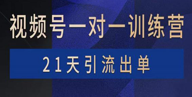 图片[1]-（3678期）视频号训练营：带货，涨粉，直播，游戏，四大变现新方向，21天引流出单