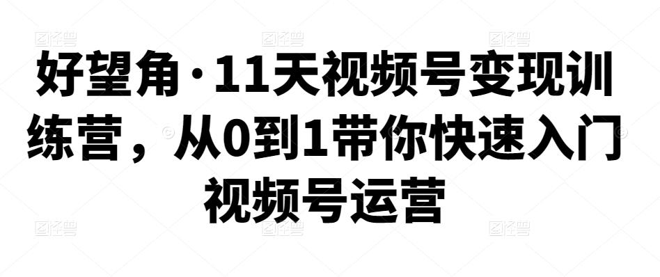 好望角·11天视频号变现训练营，从0到1带你快速入门视频号运营