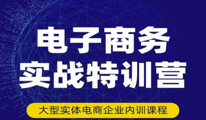 （3101期）电子商务实战特训营，全方位带你入门电商，308种方式玩转电商