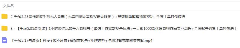 图片[2]-（1344期）1小时带你玩转千万影视号：专业起号+模板制作+1天剪1000部影视+全套工具