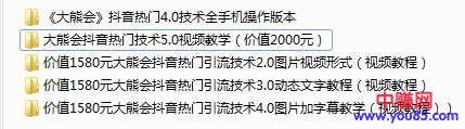 图片[1]-（908期）某高端赚钱项目：大熊会抖音热门技术2.0到5.0（全套视频课程）