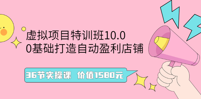 （2497期）虚拟项目特训班10.0，0基础打造自动盈利店铺 36节实操课