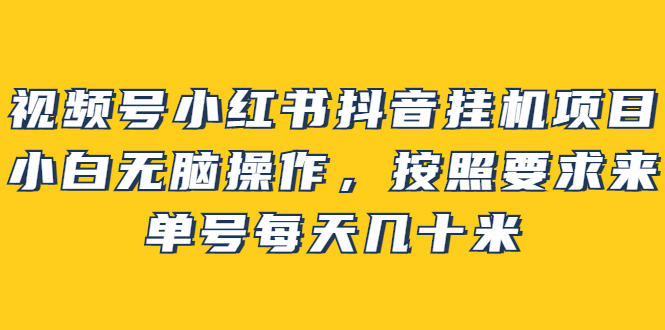 （2437期）视频号小红书抖音挂机项目，小白无脑操作，按照要求来，单号每天几十米