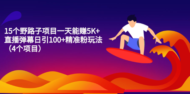 （2213期）15个野路子项目一天能赚5K+直播弹幕日引100+精准粉玩法（4个项目）