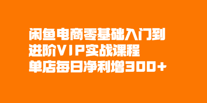 （2082期）闲鱼电商零基础入门到进阶VIP实战课程，单店每日净利增300+