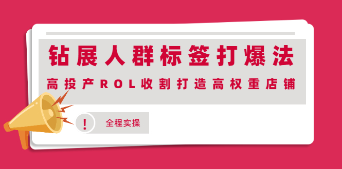 图片[1]-（2018期）钻展人群标签打爆法，高投产ROL收割打造高权重店铺(全程实操)