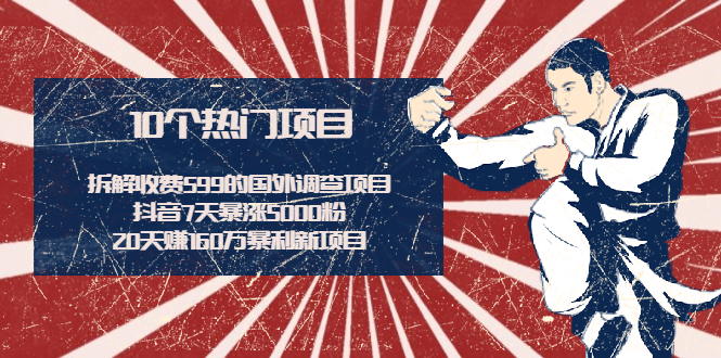 图片[1]-（1938期）拆解收费599的国外调查项目+抖音7天暴涨5000粉+20天赚160万暴利新项目