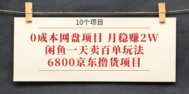 图片[1]-（1928期）0成本网盘项目 月稳赚2W+闲鱼一天卖百单玩法+6800京东撸货项目 (10个项目)