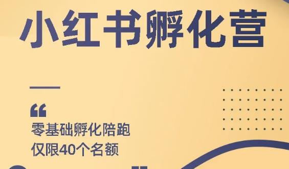 （1763期）勇哥小红书撸金快速起量项目：教你如何快速起号获得曝光，做到月躺赚3000+