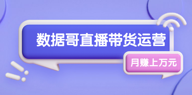 图片[1]-（1761期）数据哥直播带货运营线上进阶课，让普通人也能靠直播月赚上万元