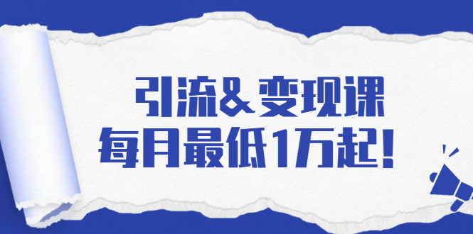 （1721期）引流&变现课：分享一整套流量方法以及各个渠道收入，每月最低1万起！