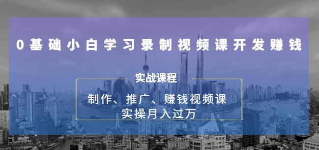 实操月入过万的网课制作、推广、赚钱，0基础学习录制视频课赚钱